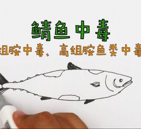 食品有意思：鯖魚中毒是怎么回事？ 