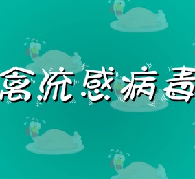 食品有意思：如何預(yù)防禽流感病毒感染？ 