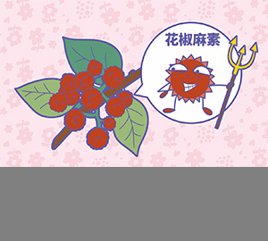 科普視頻：花椒為什么那么麻？（匹配百科詞條：花椒、花椒麻素）